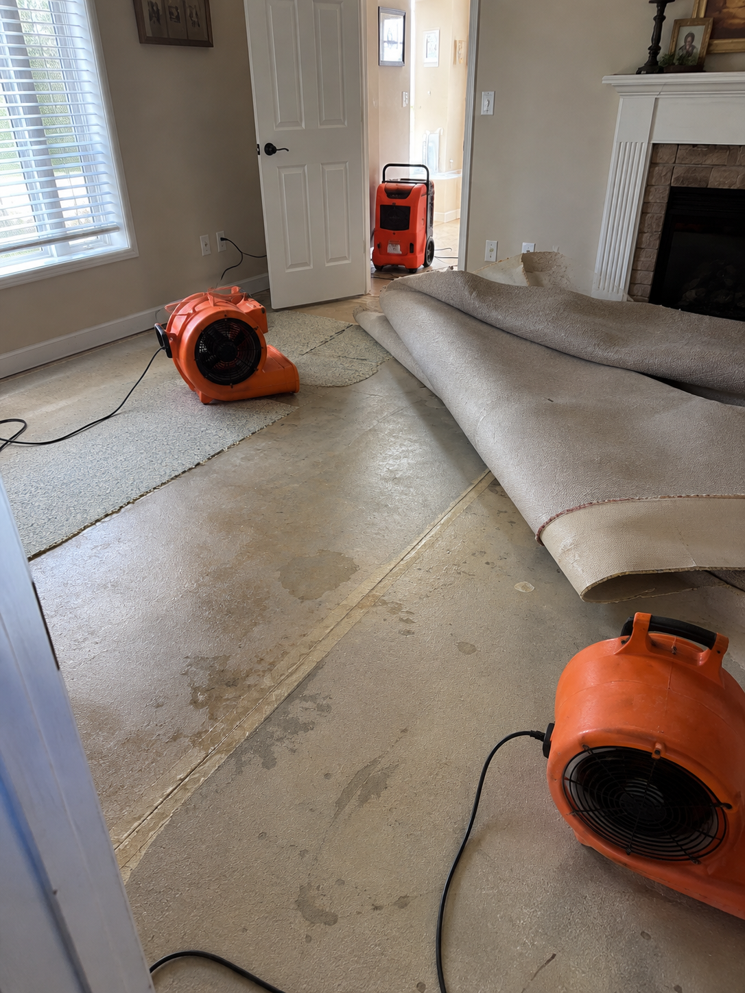 Air movers and dehumidifiers set up on a real flood response job